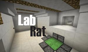 Скачать Lab Rat для Minecraft 1.12